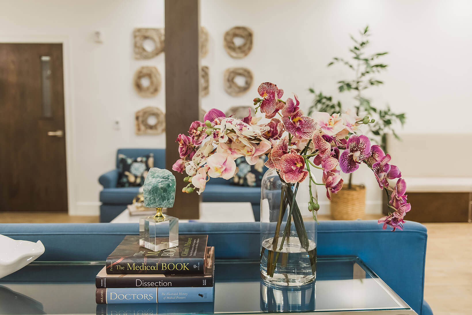 Mark Jensen, MD Plastic Surgery Office